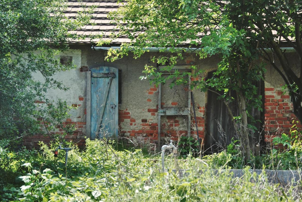 Ferienhaus Erna Doberlug-Kirchhain Εξωτερικό φωτογραφία