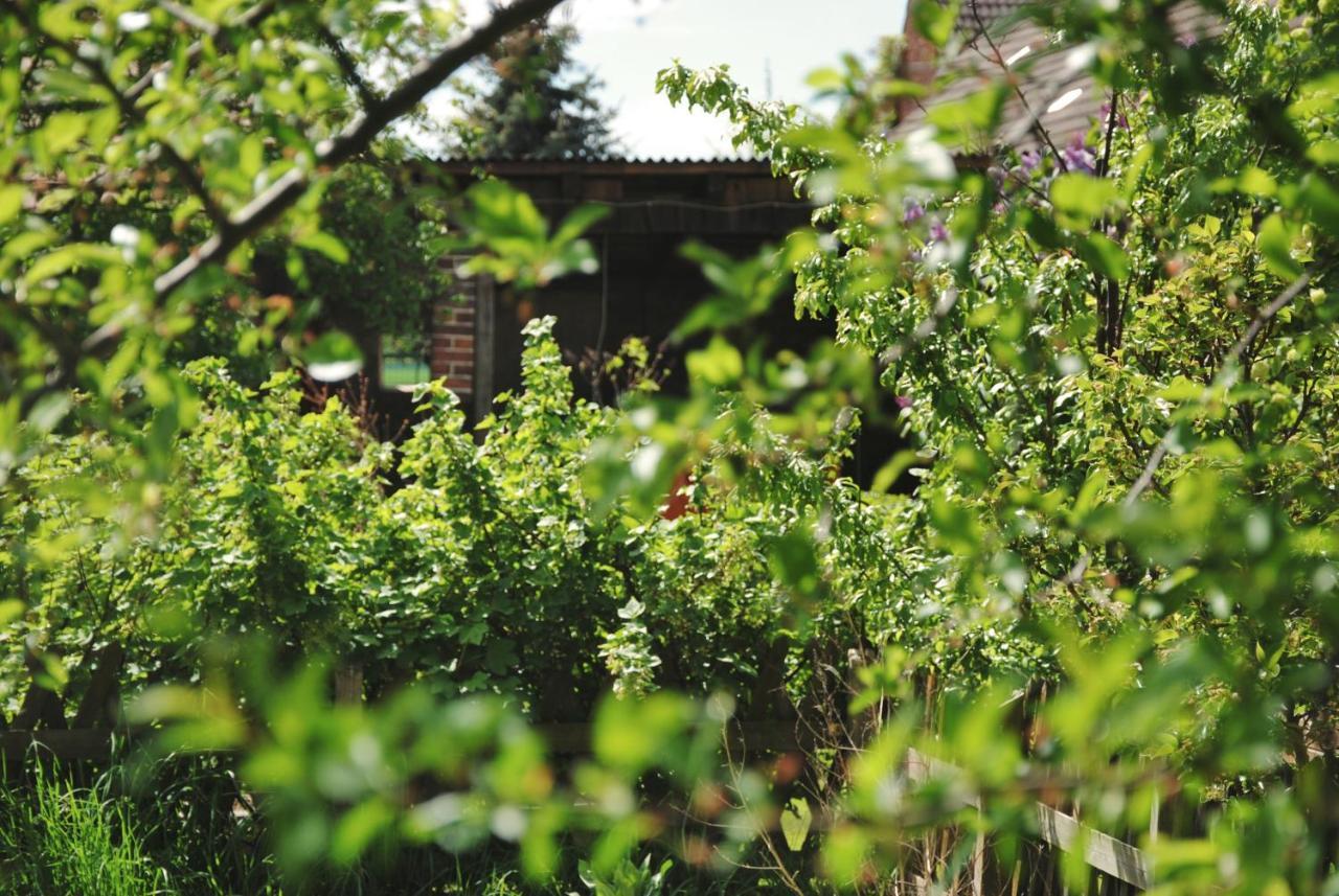 Ferienhaus Erna Doberlug-Kirchhain Εξωτερικό φωτογραφία